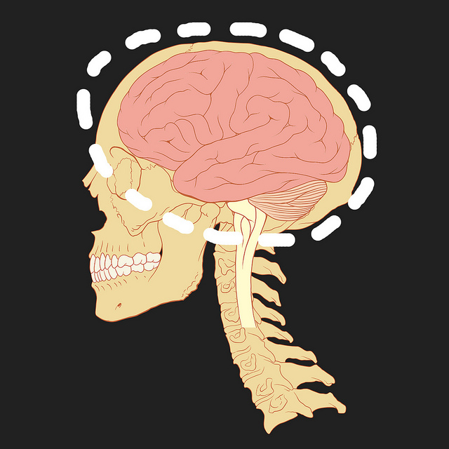 "Brain illustration" 